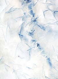 Cover image for Meghann Riepenhoff: Ice