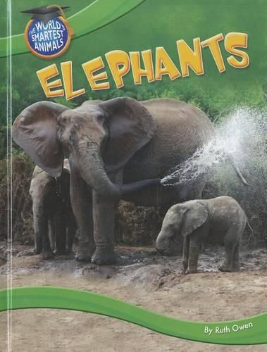 Cover image for Elephants