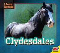 Cover image for Clydesdales