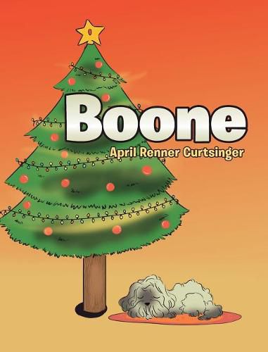 Cover image for Boone