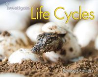 Cover image for Life Cycles (Investigate!)