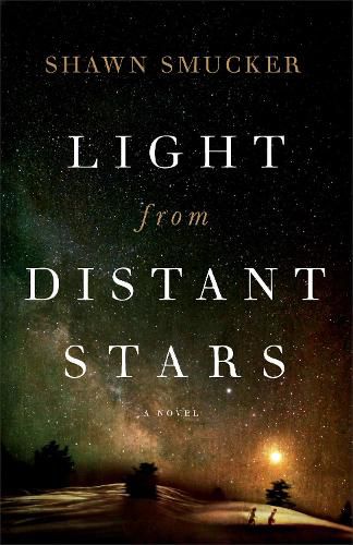 Cover image for Light from Distant Stars - A Novel