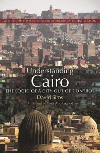 Understanding Cairo: The Logic of a City Out of Control