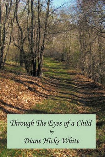 Cover image for Through the Eyes of a Child