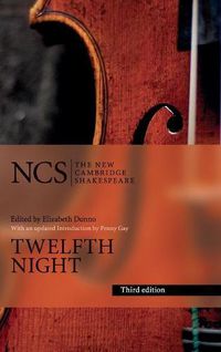 Cover image for Twelfth Night: Or What You Will