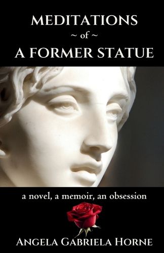 Cover image for Meditations of a Former Statue