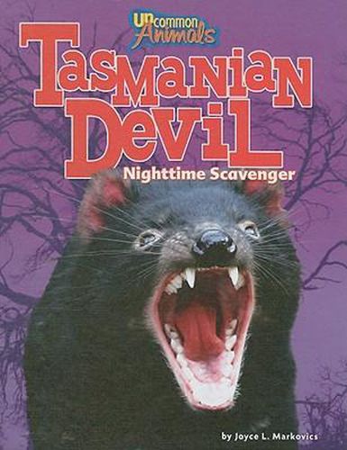 Tasmanian Devil: Nighttime Scavenger