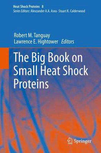 Cover image for The Big Book on Small Heat Shock Proteins