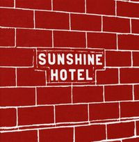 Cover image for Mitch Epstein: Sunshine Hotel