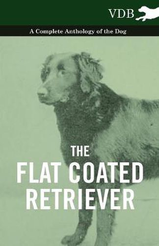 Cover image for The Flat Coated Retriever - A Complete Anthology of the Dog