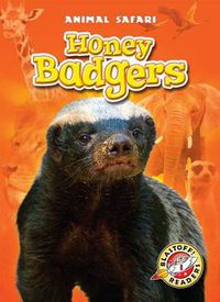 Cover image for Honey Badgers