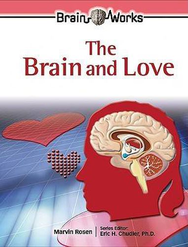 Cover image for The Brain and Love