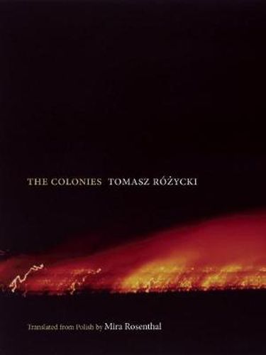 Cover image for The Colonies