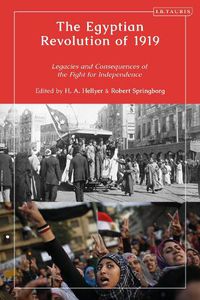 Cover image for The Egyptian Revolution of 1919: Legacies and Consequences of the Fight for Independence