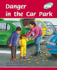 Cover image for Danger in the Car Park