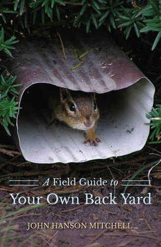 Cover image for A Field Guide to Your Own Back Yard