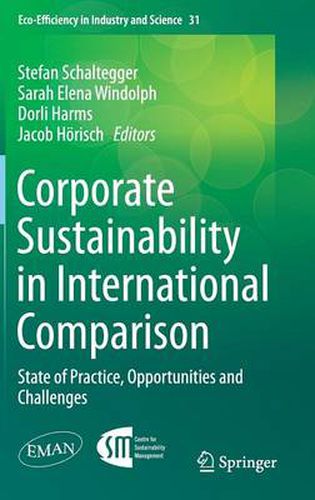 Cover image for Corporate Sustainability in International Comparison: State of Practice, Opportunities and Challenges