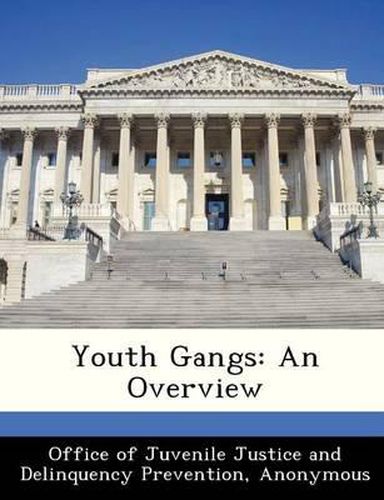 Cover image for Youth Gangs