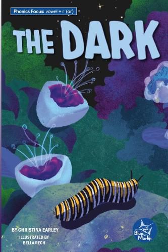 Cover image for The Dark