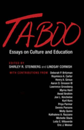 Cover image for Taboo: Essays on Culture and Education