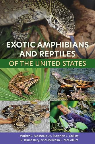 Cover image for Exotic Amphibians and Reptiles of the United States