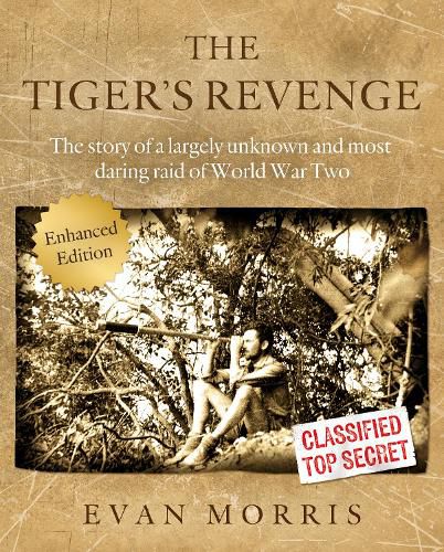 Cover image for The Tiger's Revenge