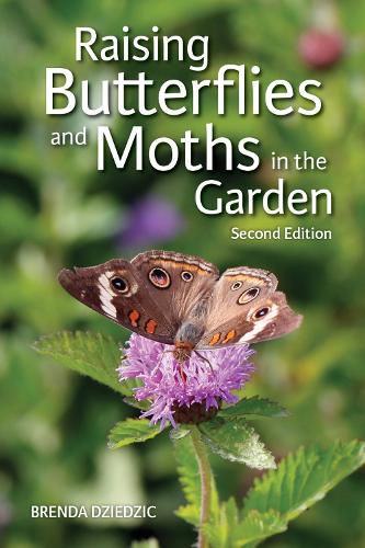 Cover image for Raising Butterflies and Moths in the Garden