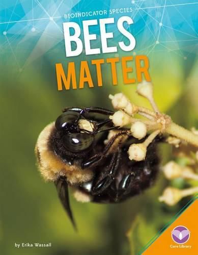 Cover image for Bees Matter