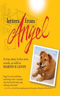 Cover image for Letters from Angel: A True Story In Her Own Words
