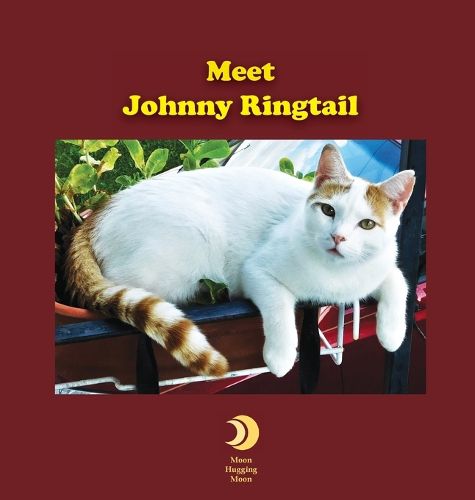 Cover image for Meet Johnny Ringtail