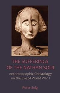Cover image for The Sufferings of the Nathan Soul