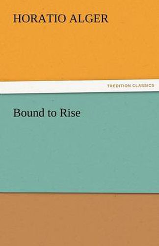 Cover image for Bound to Rise