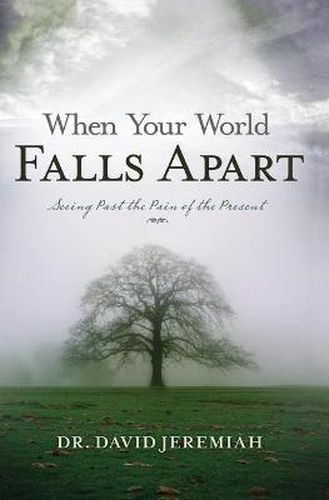 Cover image for When Your World Falls Apart: See Past the Pain of the Present