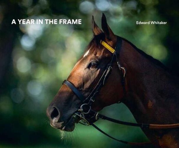 Cover image for A Year In The Frame