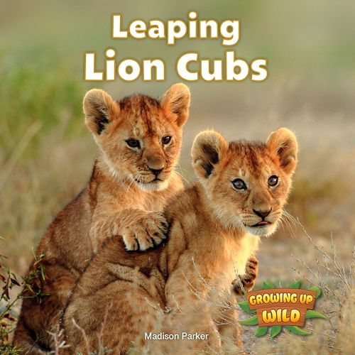 Cover image for Leaping Lion Cubs