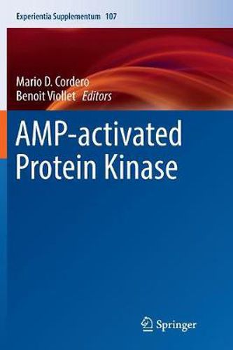 Cover image for AMP-activated Protein Kinase