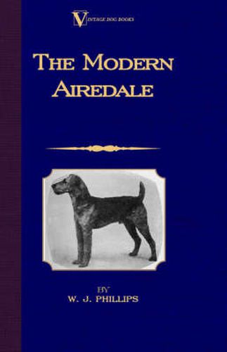 Cover image for The Modern Airedale Terrier: With Instructions for Stripping the Airedale and Also Training the Airedale for Big Game Hunting. (A Vintage Dog Books Breed Classic)