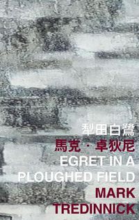 Cover image for Egret in a Ploughed Field