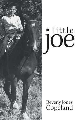 Cover image for Little Joe