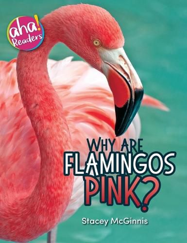 Cover image for Why Are Flamingos Pink?