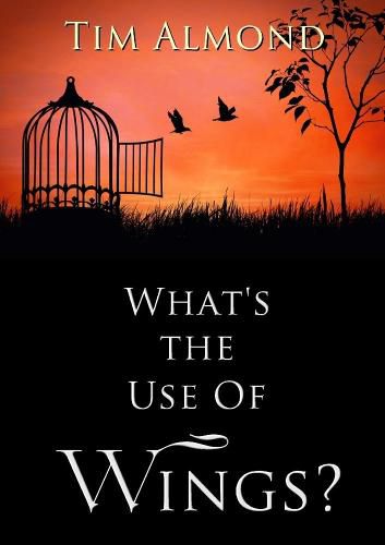 Cover image for What's the Use of Wings?