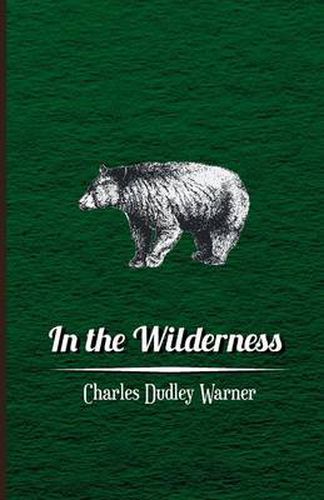 Cover image for In the Wilderness