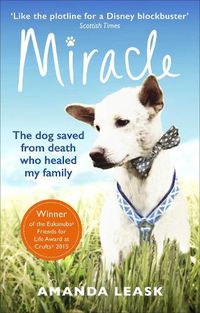 Cover image for Miracle