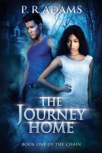 Cover image for The Journey Home