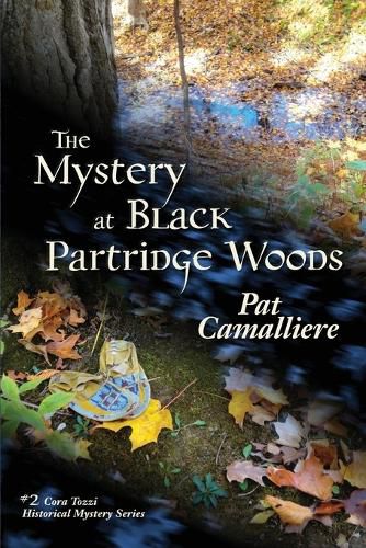 Cover image for The Mystery at Black Partridge Woods