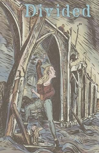 Cover image for Divided