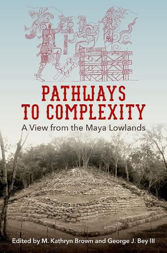 Pathways to Complexity: A View from the Maya Lowlands