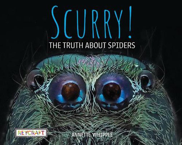 Scurry! the Truth about Spiders