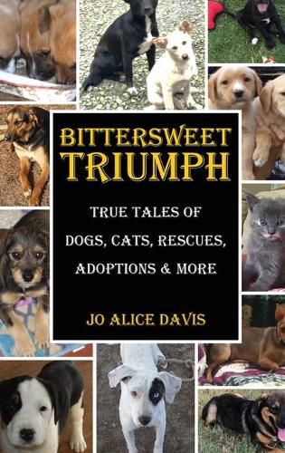 Cover image for Bittersweet Triumph