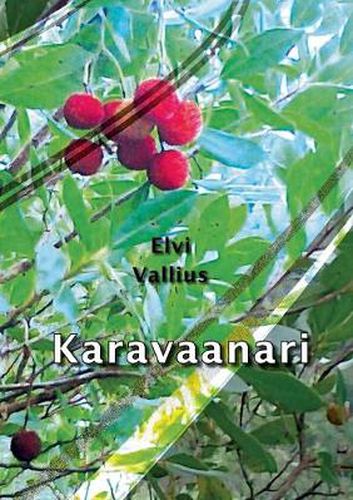 Cover image for Karavaanari